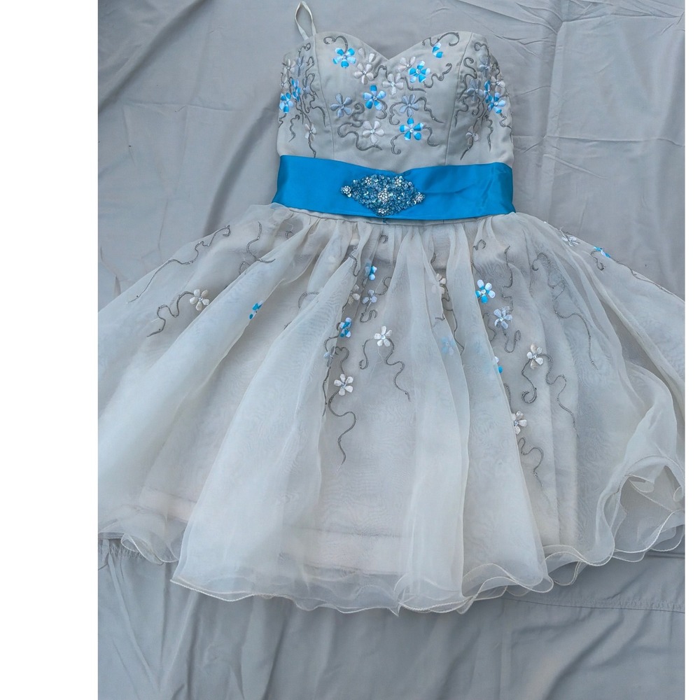 Fairycore Womens Unbranded Floral Embroidered Organza Mini Dress S White‎ Blue